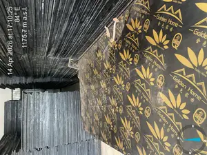Golden Home Boards Marine