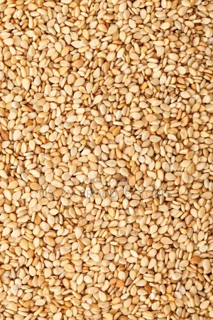 Sim Sim Seeds