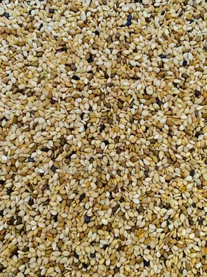 Sim Sim Seeds