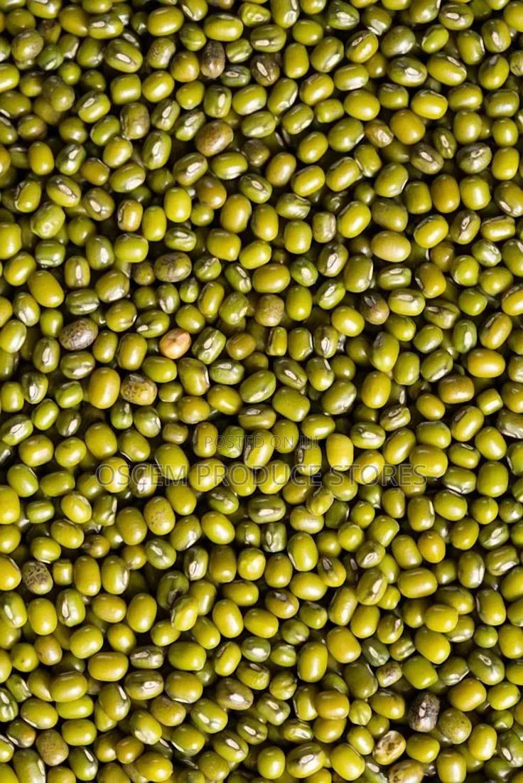 Chiroko Seeds