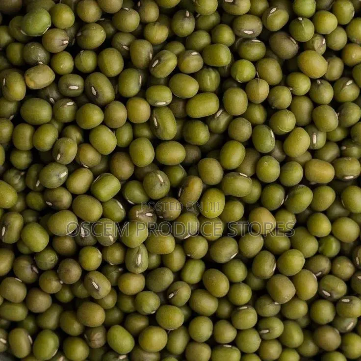 Chiroko Seeds