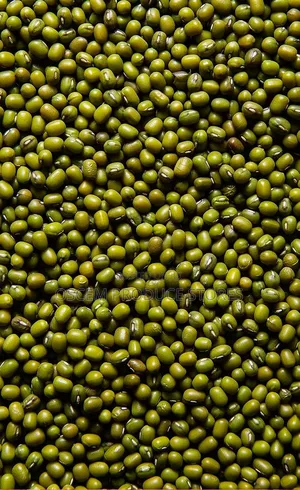 Chiroko Seeds