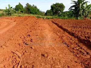 Titled Plots in Bukasa(Buloba) on Sentema Road