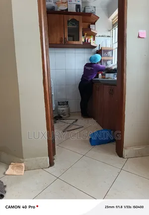 Regular House Cleaning Services