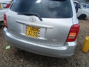 Toyota Corolla Fielder 2007 Silver