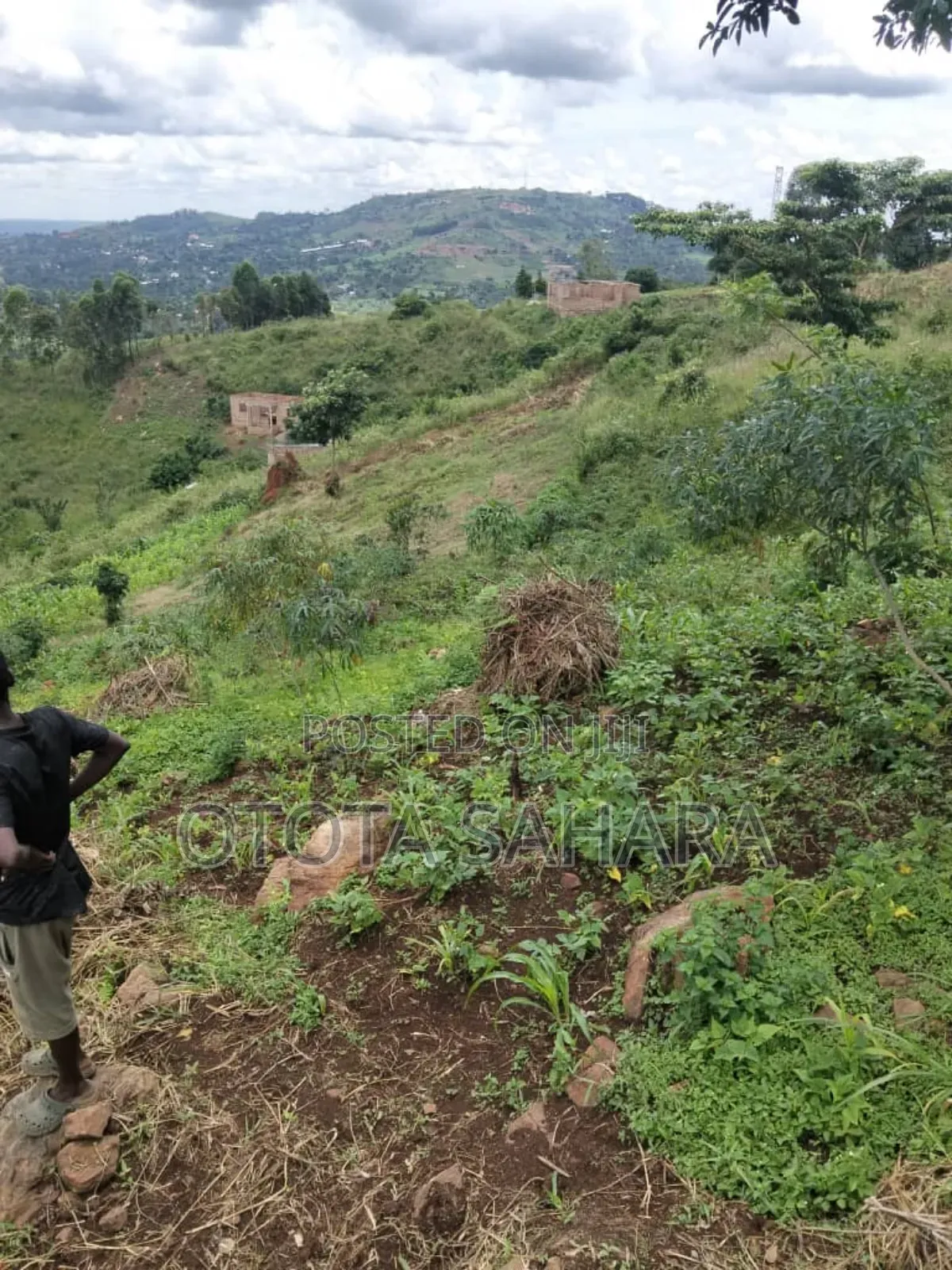 Mukono; Kayanja: Half Acre for Sale Ugx 30m