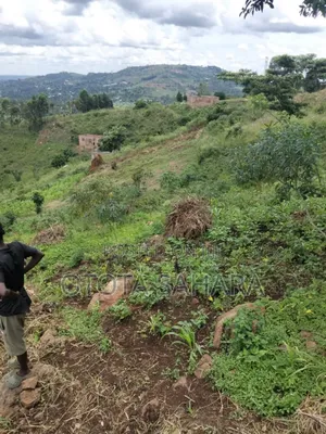 Mukono; Kayanja: Half Acre for Sale Ugx 30m
