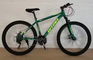 21 Speed Gear Adults Mountain Bike