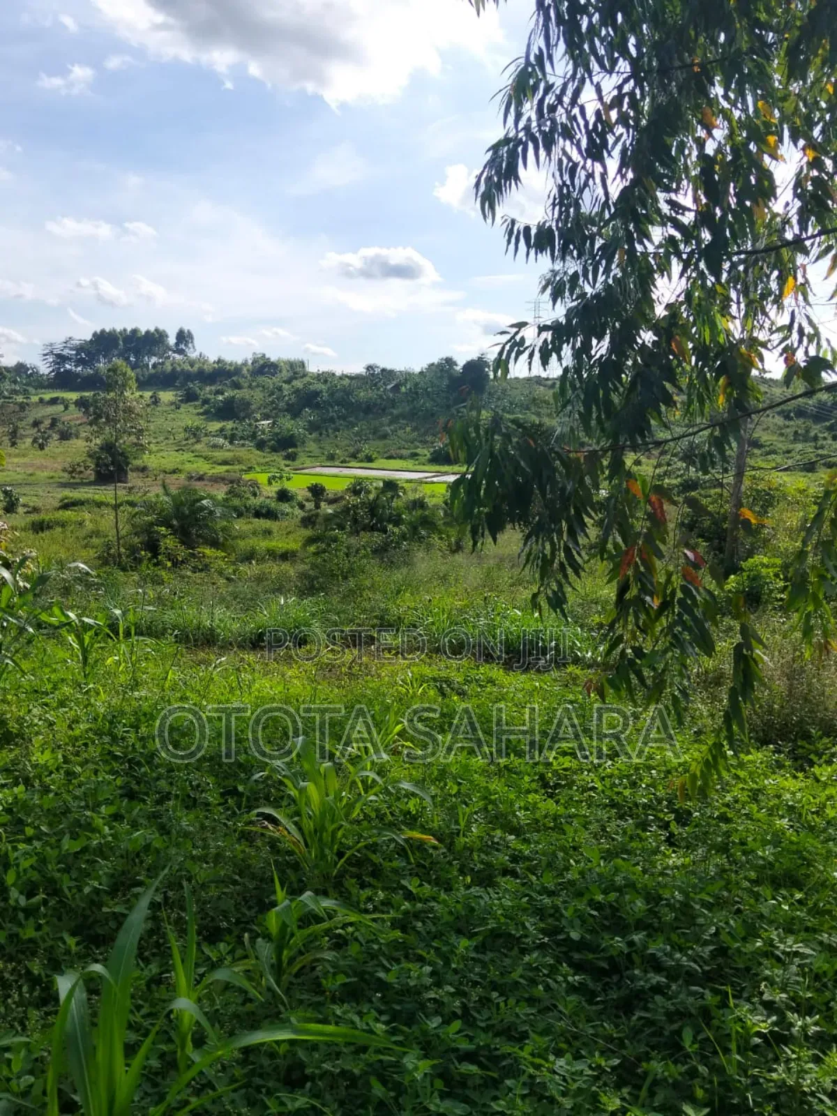 Mukono : Mtanzige : For Sale One Acre Ugx 48m