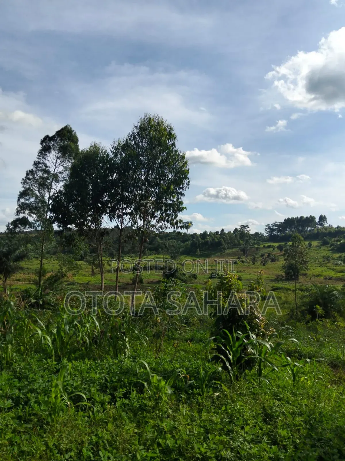 Mukono : Mtanzige : For Sale One Acre Ugx 48m