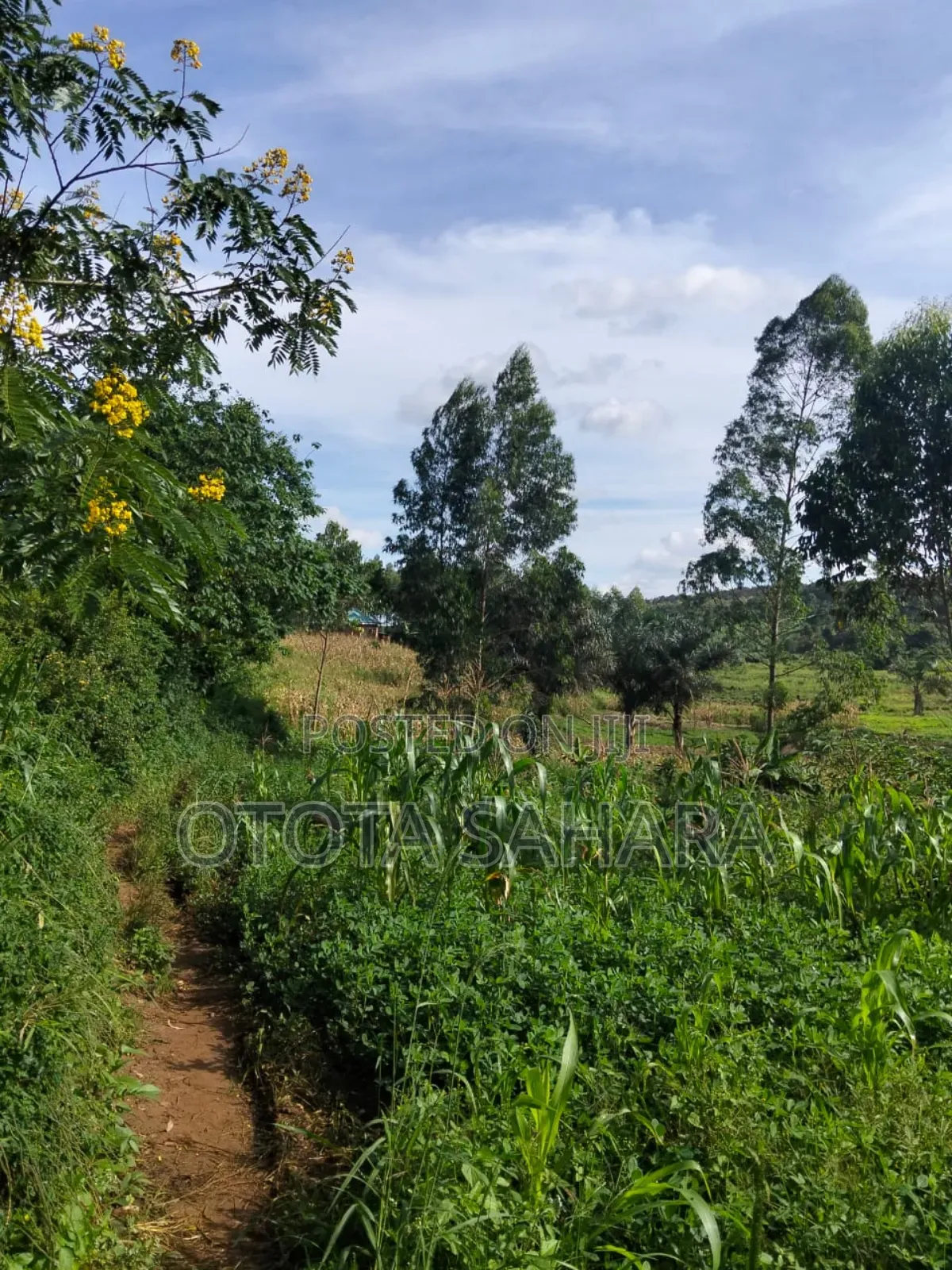 Mukono : Mtanzige : For Sale One Acre Ugx 48m