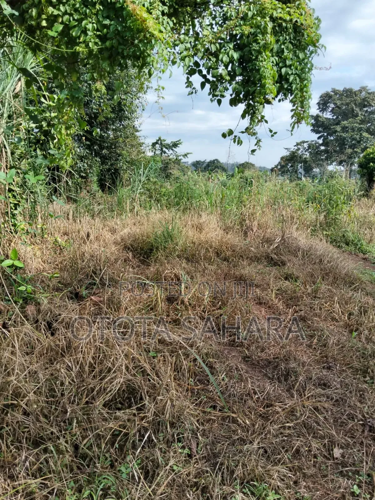 Mukono : Namataba : One Acre and One PLT Ugx 90m