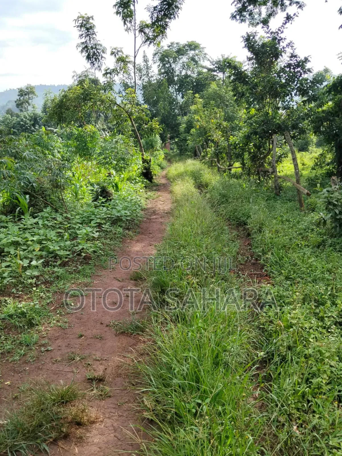 Mukono : Namataba : One Acre and One PLT Ugx 90m