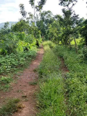 Mukono : Namataba : One Acre and One PLT Ugx 90m