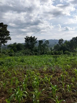 Mukono : Namataba : One Acre and One PLT Ugx 90m