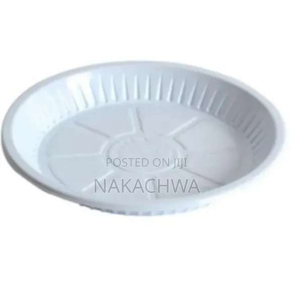 8package of Disposable Plates Midum Size