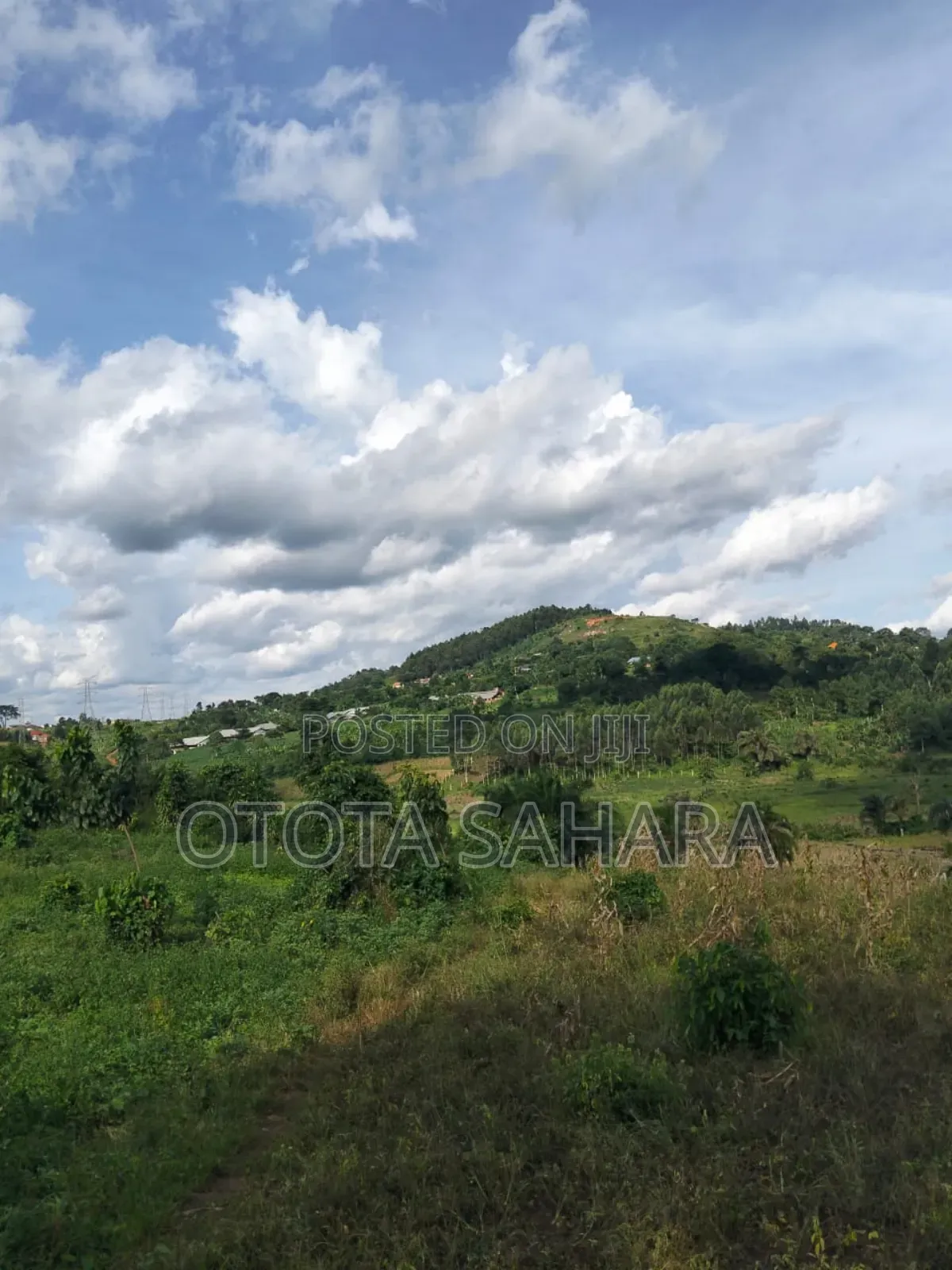 Mukono : Namataba : 4 Acres for Sale. Each Ugx 47m