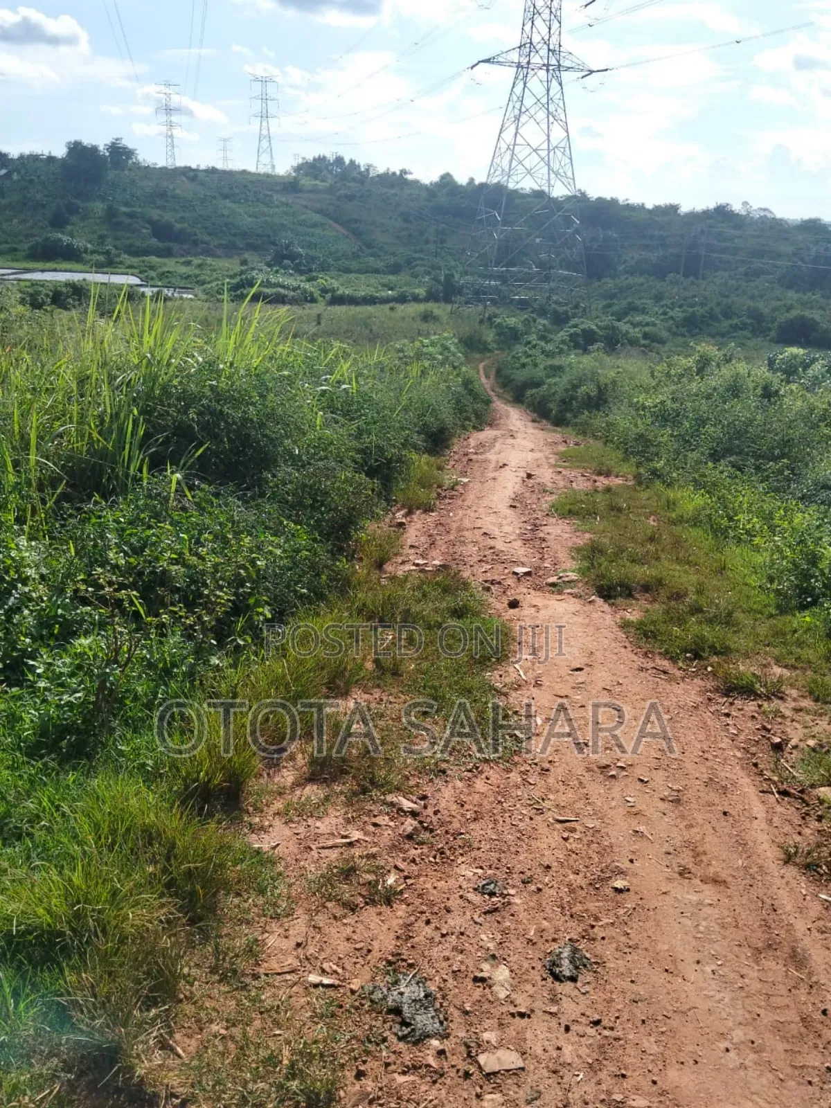 Mukono : Namataba : 4 Acres for Sale. Each Ugx 47m
