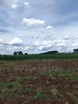 Mukono : Kayanja : For Sale 11 Acres. Each Ugx 20m