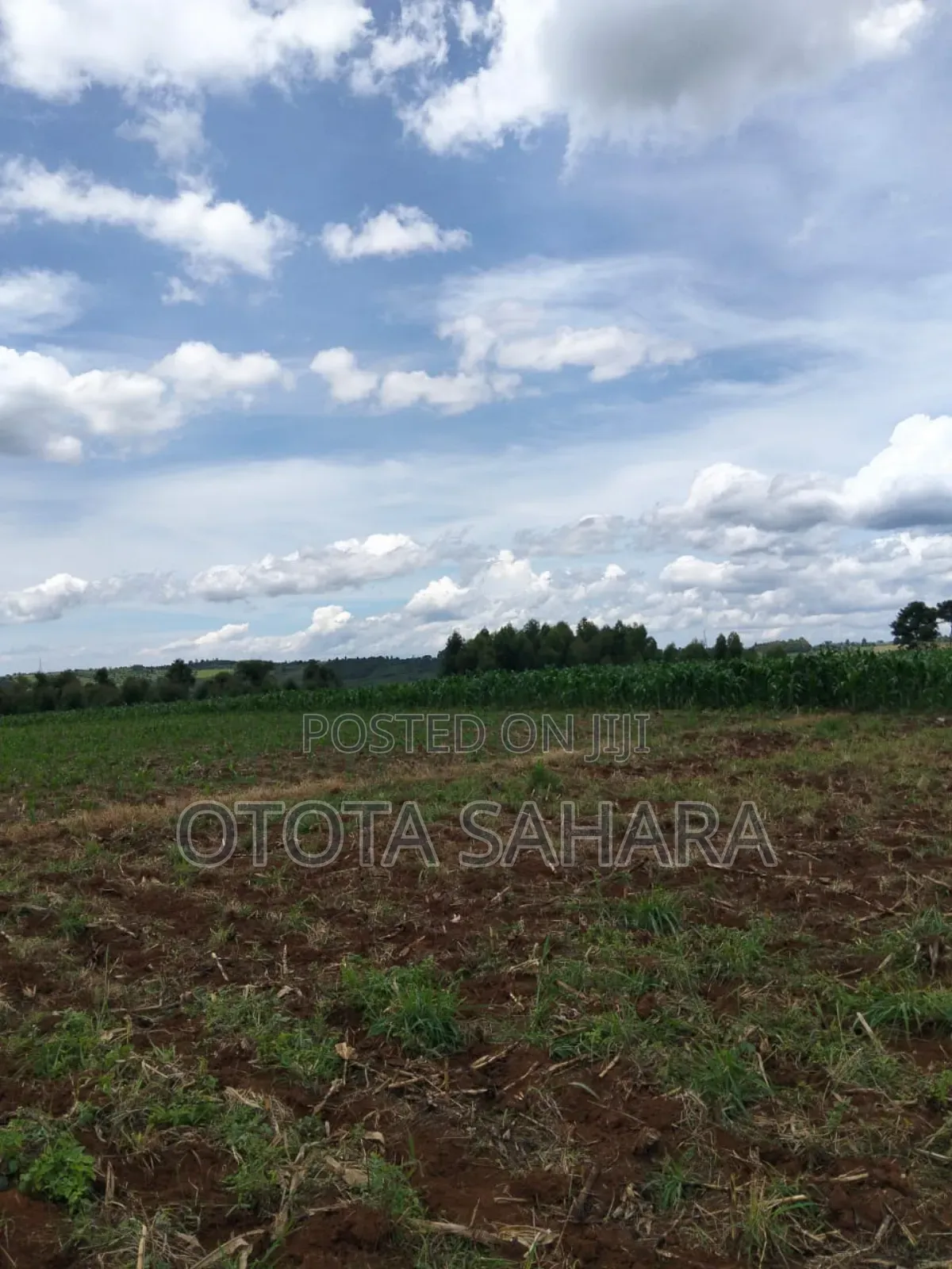Mukono : Kayanja : For Sale 11 Acres. Each Ugx 20m