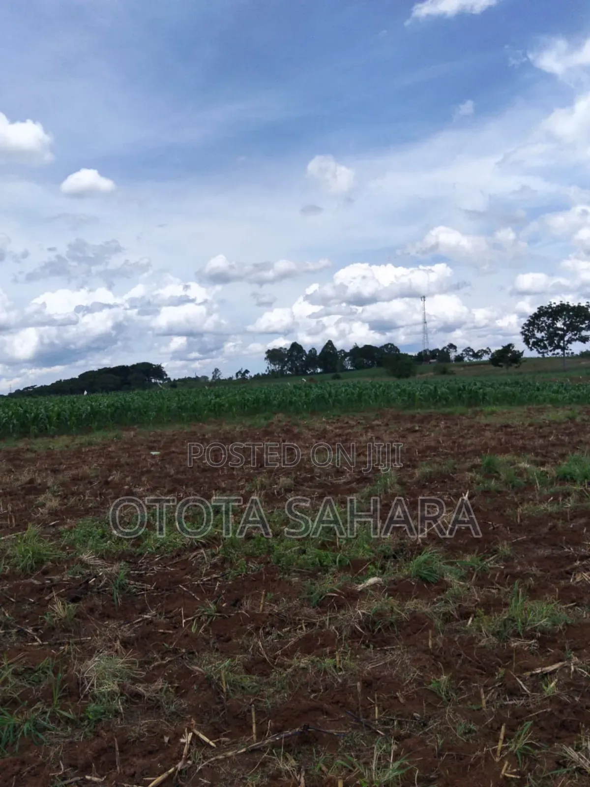 Mukono : Kayanja : For Sale 11 Acres. Each Ugx 20m