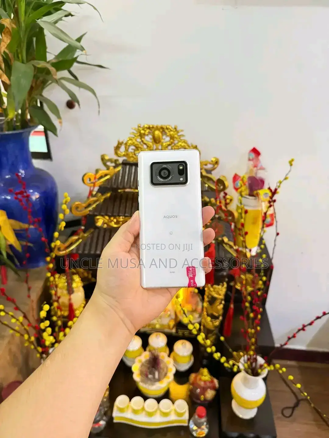 Sharp Aquos R6 128 GB White