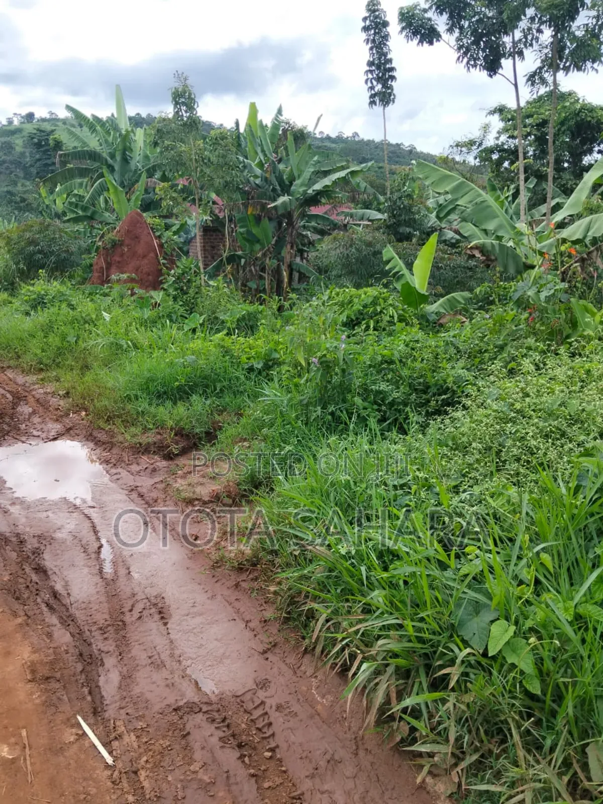 Mukono : Kayanja : 50 by 100 at Ugx 12m