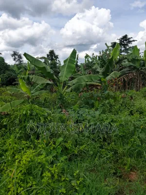Mukono : Kayanja : 50 by 100 at Ugx 12m