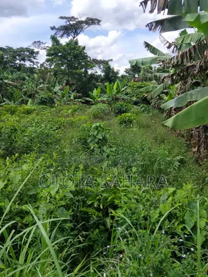 Mukono : Kayanja : 50 by 100 at Ugx 12m
