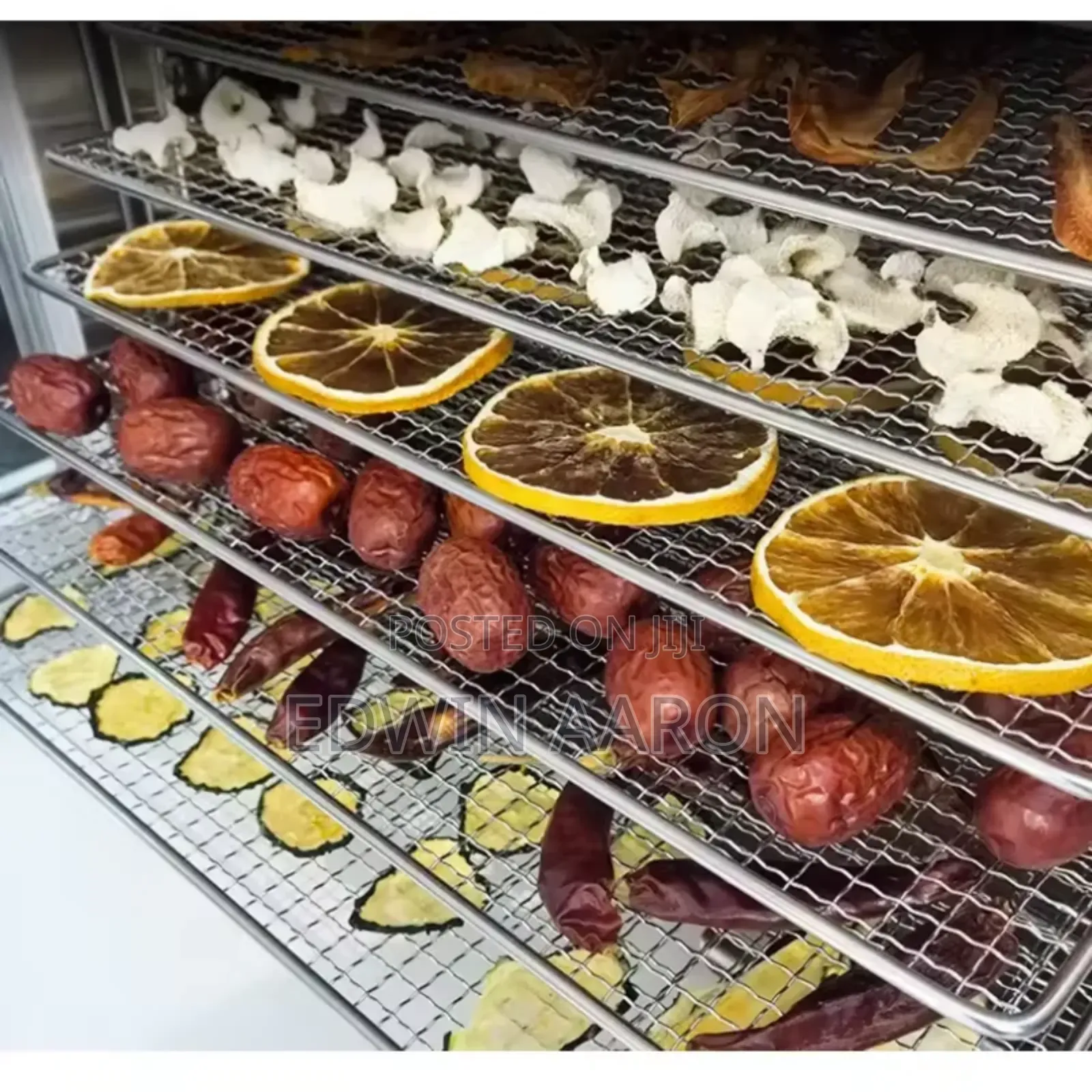30 Layers Commercial Stainless-Steel Food Dehydrator