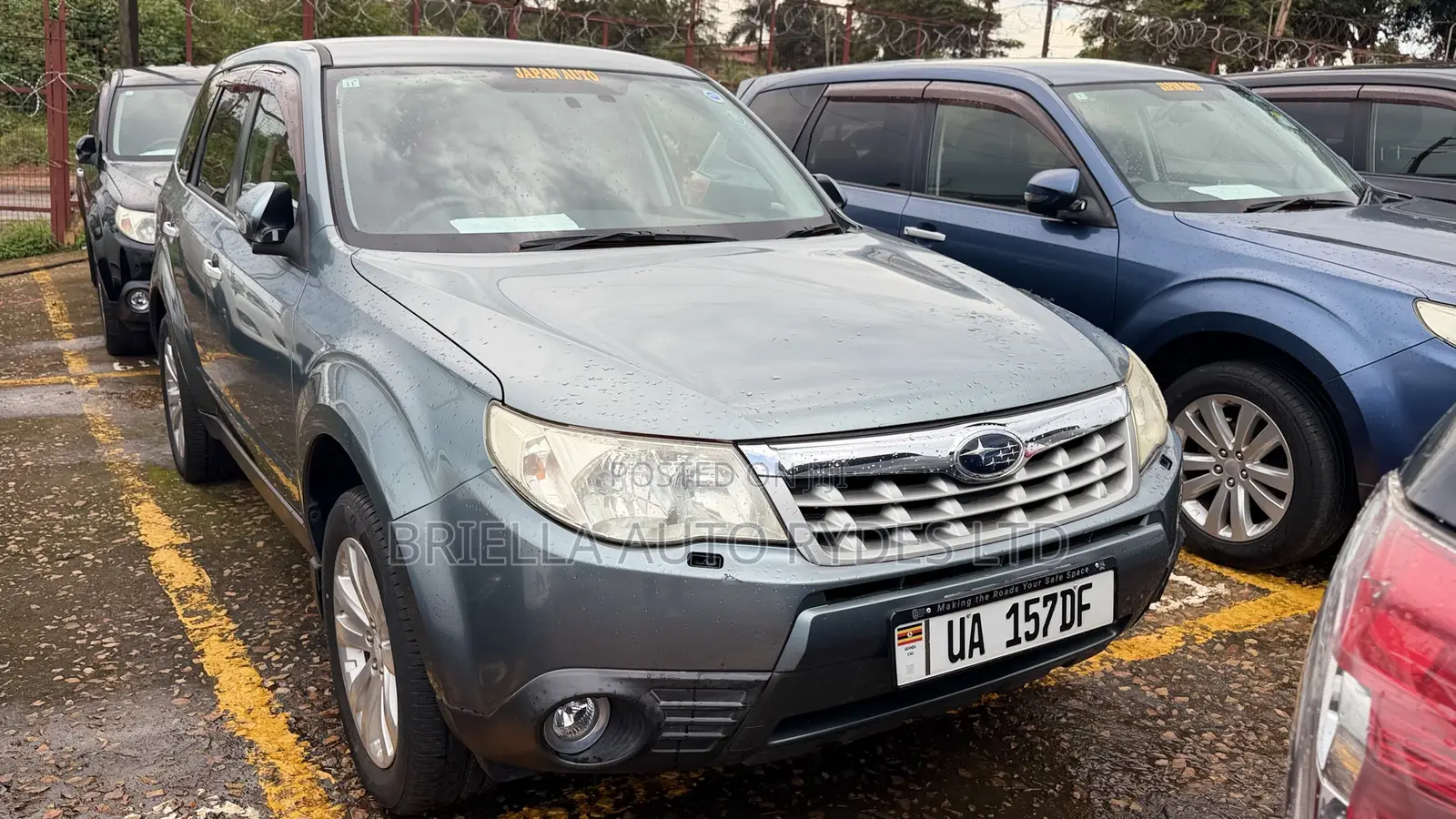 Subaru Forester 2011 Green