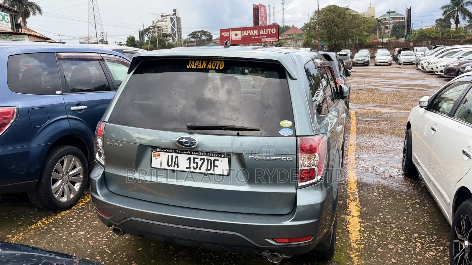 Subaru Forester 2011 Green