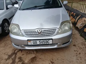 Toyota Allex 2007 Silver