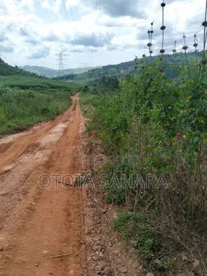 Mukono : Kayanja:For Sale Half Acre at Ugx 24m