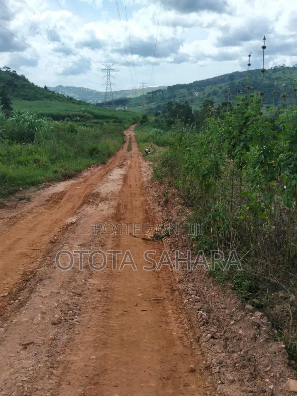Mukono : Kayanja:For Sale Half Acre at Ugx 24m