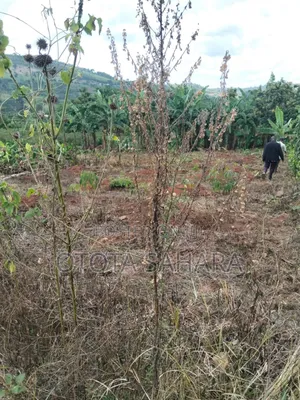 Mukono : Kayanja:For Sale Half Acre at Ugx 24m