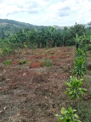 Mukono : Kayanja:For Sale Half Acre at Ugx 24m