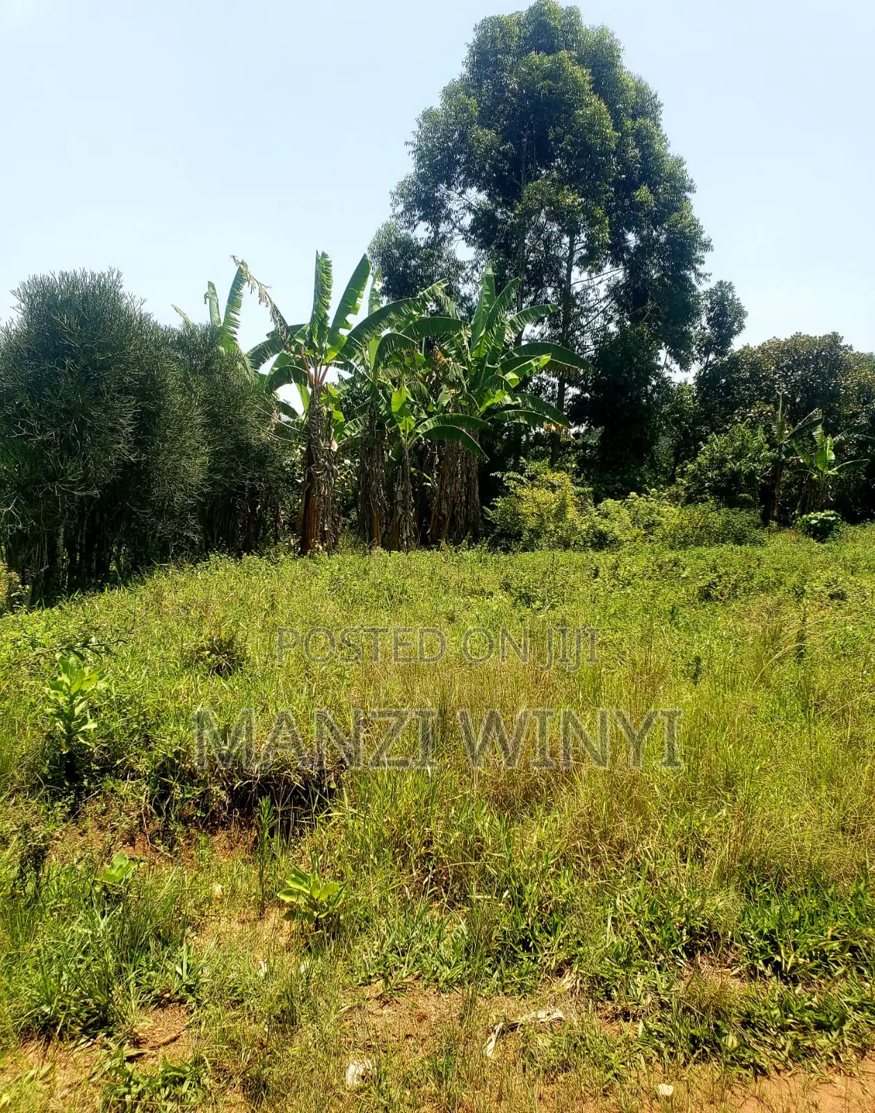Plot in Rurama Fort Portal