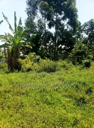 Plot in Rurama Fort Portal