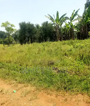 Plot in Rurama Fort Portal
