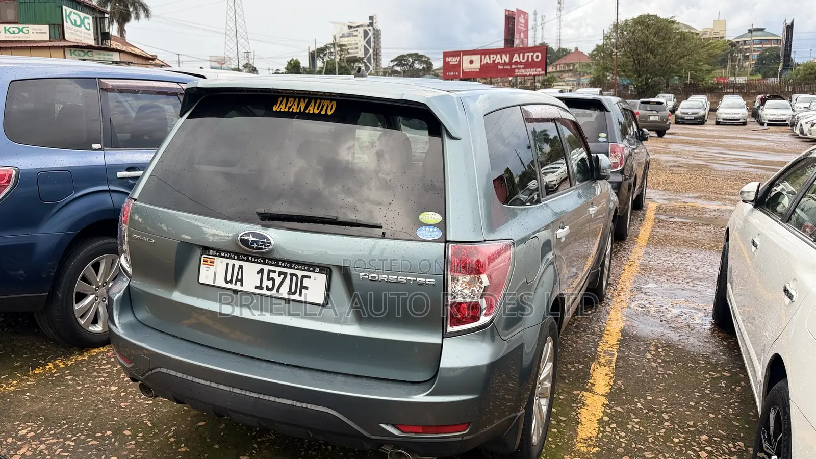 Subaru Forester 2011 Green
