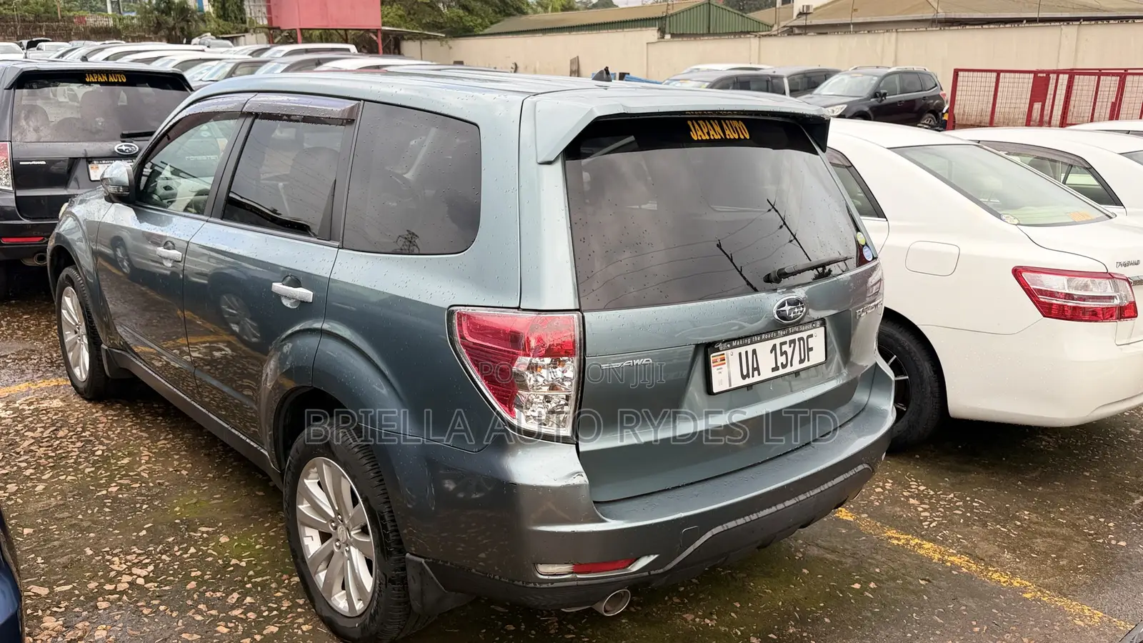 Subaru Forester 2011 Green