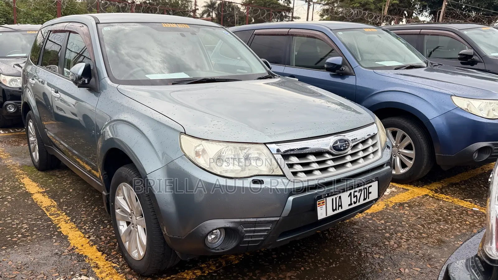 Subaru Forester 2011 Green