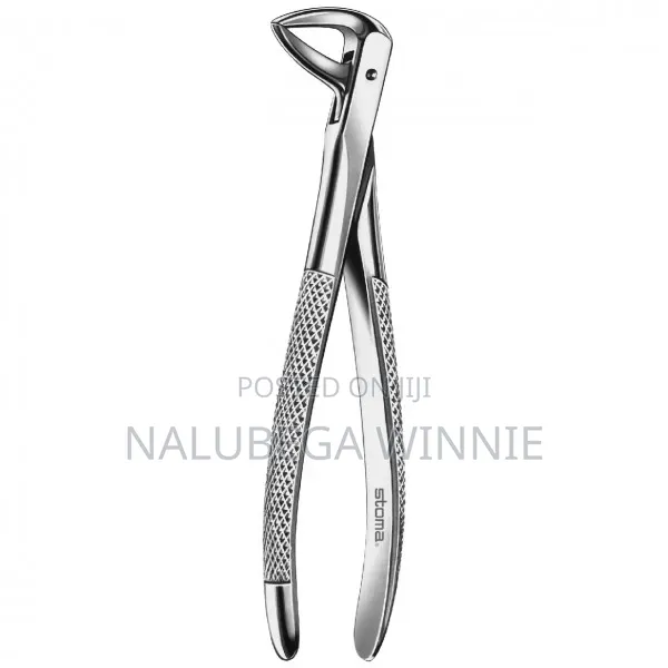 Lower Incisor Forceps