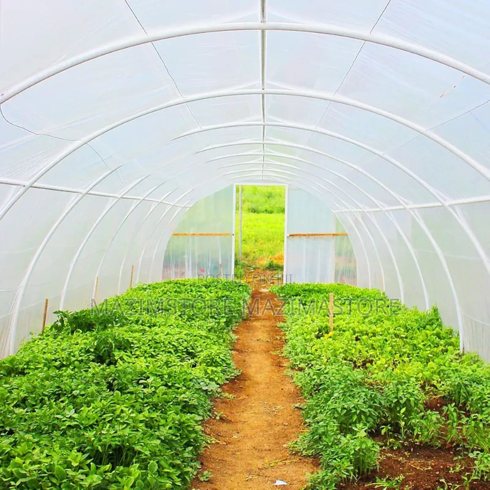 Polyethylene Green House Cover ( 100mtrs )