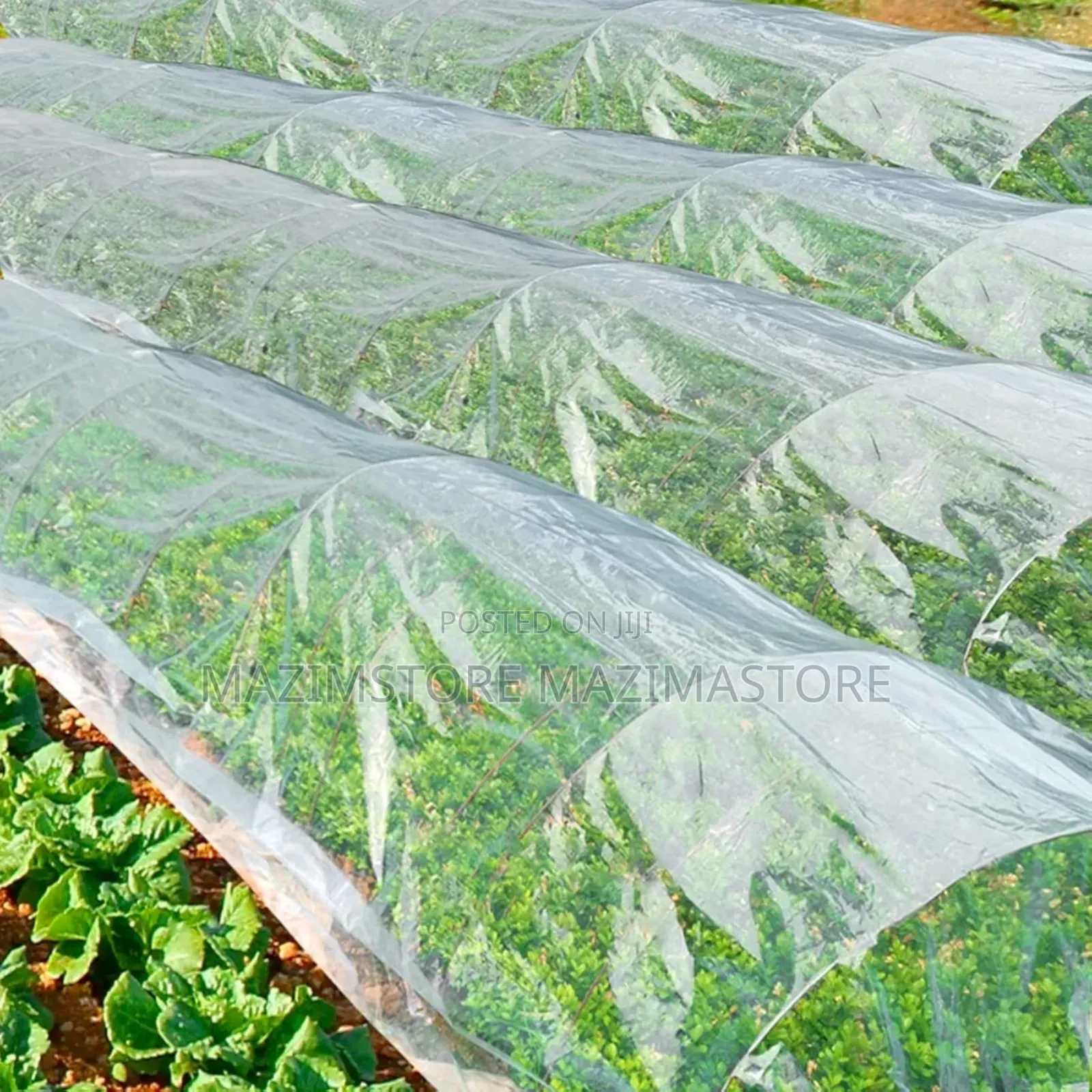 Polyethylene Green House Cover ( 100mtrs )