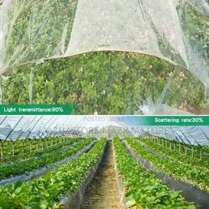 Polyethylene Green House Cover ( 100mtrs )