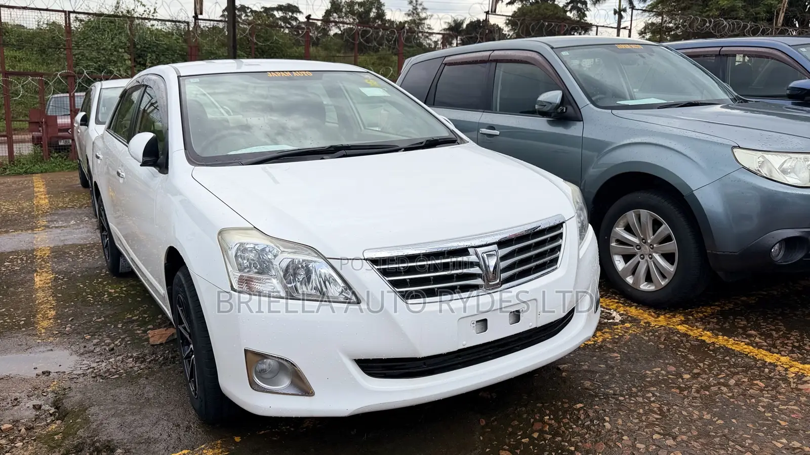 Toyota Premio 2012 White