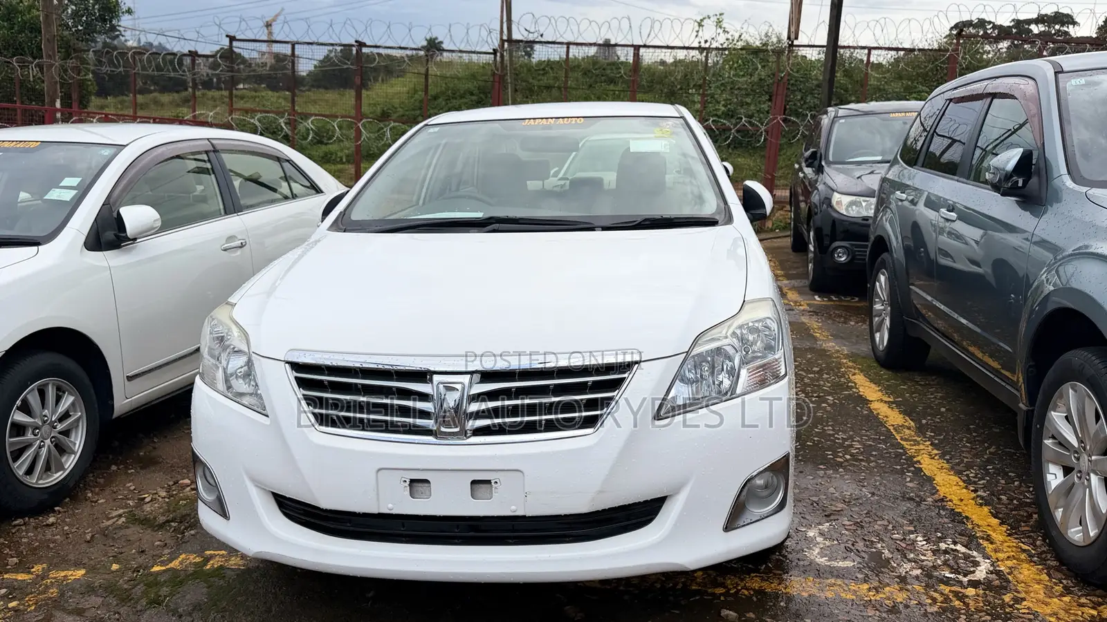 Toyota Premio 2012 White