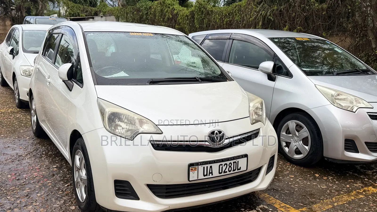 Toyota Ractis 2013 White